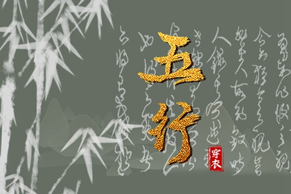 天机命盘_易百查紫微排盘_胎元命宫八字排盘_算命紫微排盘_查询十二宫位